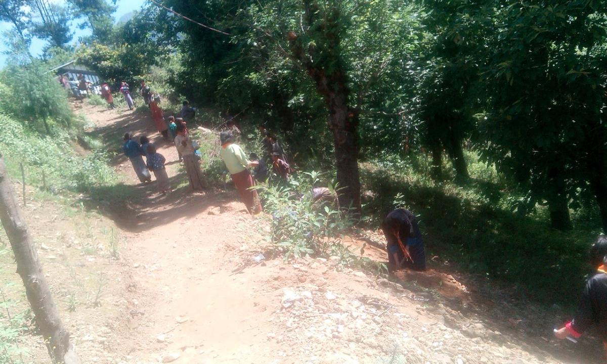 Tree plantation in the school campus World Scouting
